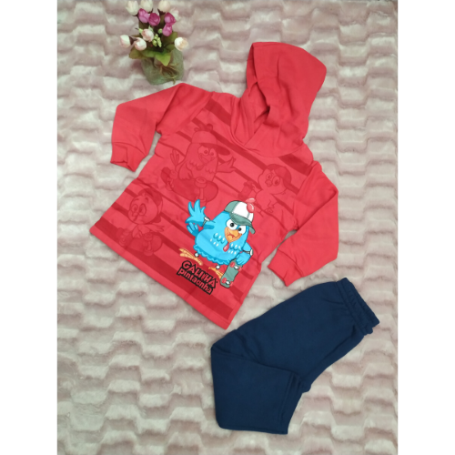 Conjunto Blusa E Calça Moletom