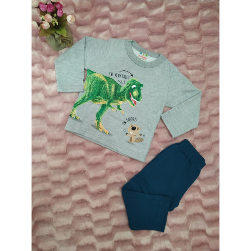 Conjunto Blusa E Calça Moletom