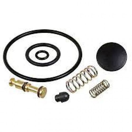 KIT REPARO PCP GUARANY