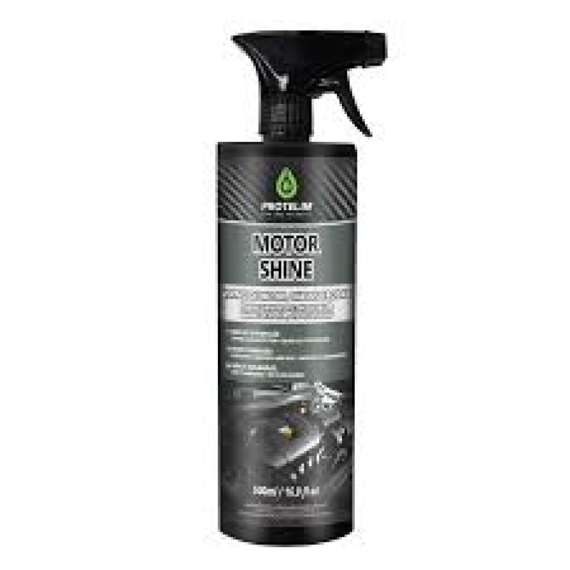 MOTOR SHINE VERNIZ DE MOTOR CHASSIS E RODAS 500ML PROTELIM